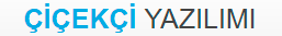 lisayazilim logo